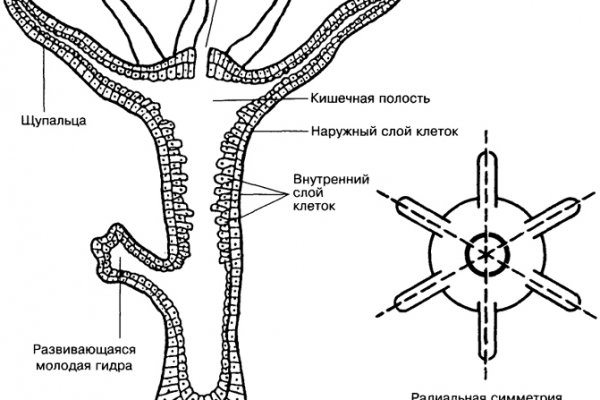 Кракен сайт что это