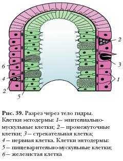 Сайты с наркотиками